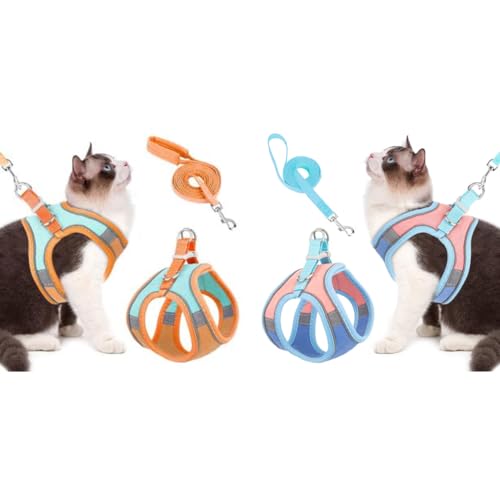 Qpets® Cat Harness & Leash Combo, Adjustable Breathable Vest with Safety Reflective Strip, 1.5m Leash, for Small Cat & Dog, Outdoor Walk, Travel, Training, Orange & Blue, M Size Qpets® Cat Harness & Leash Combo, Adjustable Breathable Vest with Safety Reflective Strip, 1.5m Leash, for Small Cat & Dog, Outdoor Walk, Travel, Training, Orange & Blue, M Size